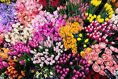 开放世界武侠RPG游戏《大侠立志传》预告公布 Steam页面上线